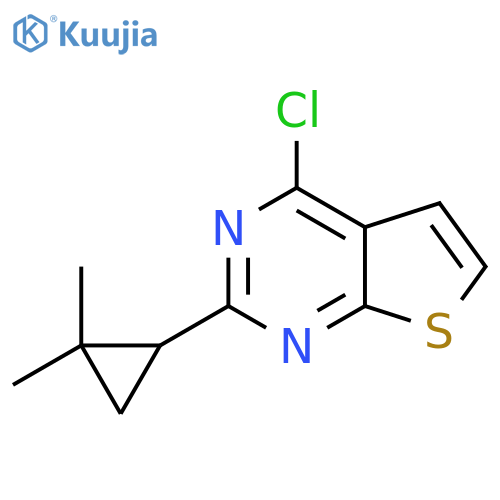 4-chloro-2-(2,2-dimethylcyclopropyl)thieno2,3-dpyrimidine structure