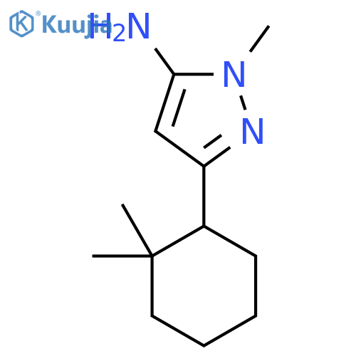 3-(2,2-dimethylcyclohexyl)-1-methyl-1H-pyrazol-5-amine structure