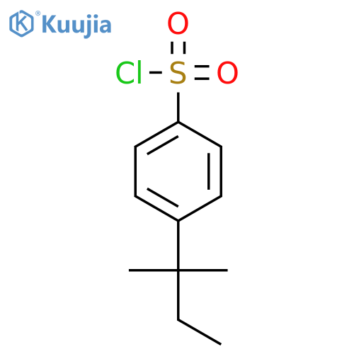 4-TERT-AMYLBENZENESULFONYL CHLORIDE structure