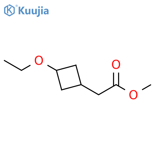 methyl 2-(3-ethoxycyclobutyl)acetate structure