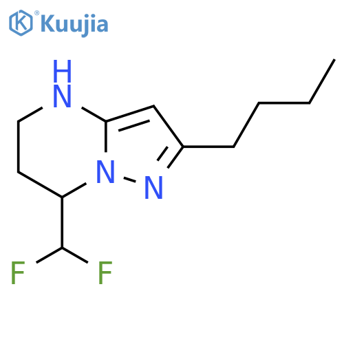 2-butyl-7-(difluoromethyl)-4H,5H,6H,7H-pyrazolo1,5-apyrimidine structure