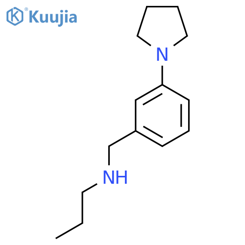 propyl({3-(pyrrolidin-1-yl)phenylmethyl})amine structure