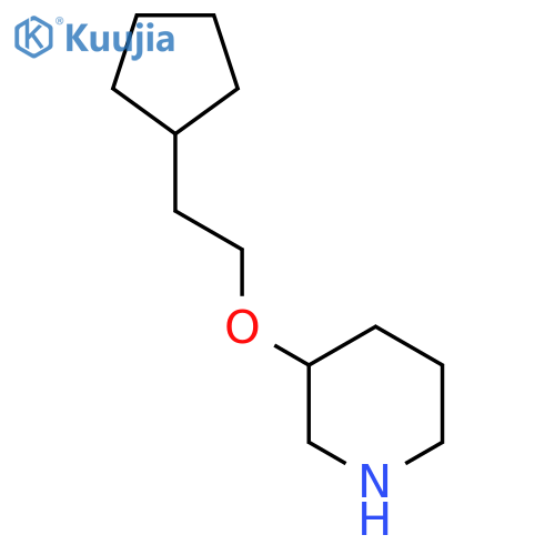 3-(2-cyclopentylethoxy)piperidine structure