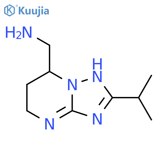 2-(propan-2-yl)-4H,5H,6H,7H-1,2,4triazolo1,5-apyrimidin-7-ylmethanamine structure