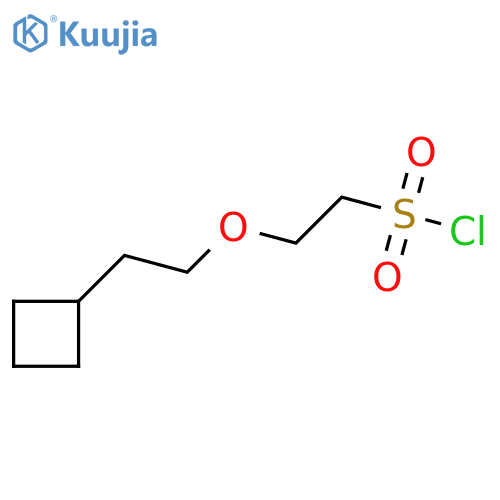 2-(2-cyclobutylethoxy)ethane-1-sulfonyl chloride structure