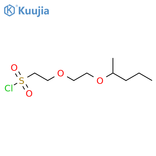 2-2-(pentan-2-yloxy)ethoxyethane-1-sulfonyl chloride structure