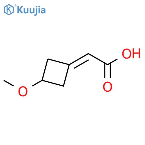 2-(3-methoxycyclobutylidene)acetic acid structure