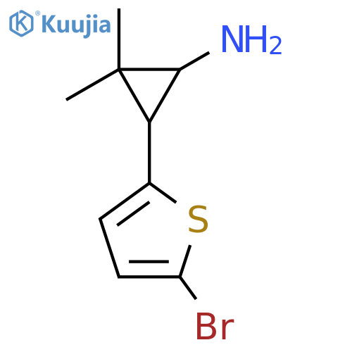 3-(5-bromothiophen-2-yl)-2,2-dimethylcyclopropan-1-amine structure