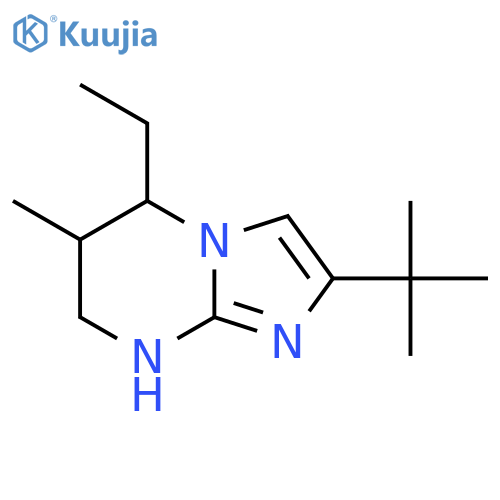 2-tert-butyl-5-ethyl-6-methyl-5H,6H,7H,8H-imidazo1,2-apyrimidine structure