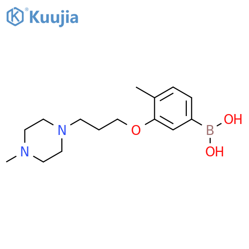 4-Methyl-3-(3-(4-Methylpiperazin-1-yl)propoxy)phenylboronic acid structure
