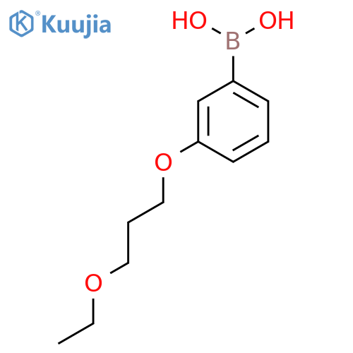 3-(3-Ethoxypropoxy)phenylboronic acid structure