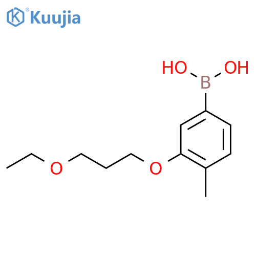 (3-(3-Ethoxypropoxy)-4-methylphenyl)boronic acid structure