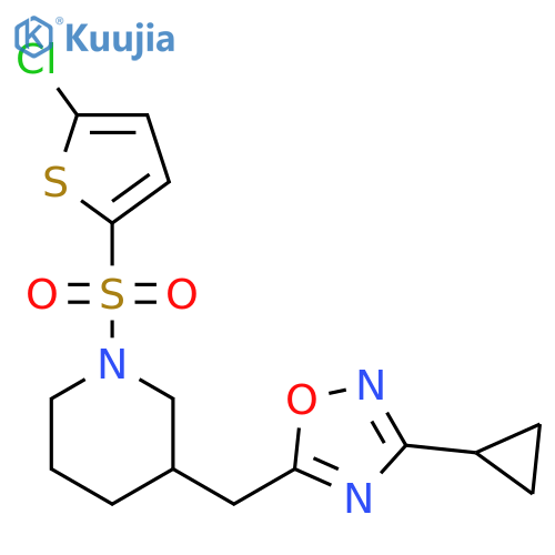 1-[(5-chlorothiophen-2-yl)sulfonyl]-3-[(3-cyclopropyl-1,2,4-oxadiazol-5-yl)methyl]piperidine structure