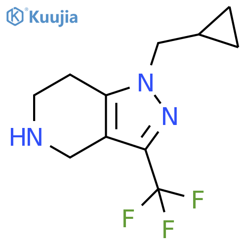 1-(cyclopropylmethyl)-3-(trifluoromethyl)-4,5,6,7-tetrahydro-1H-pyrazolo[4,3-c]pyridine structure