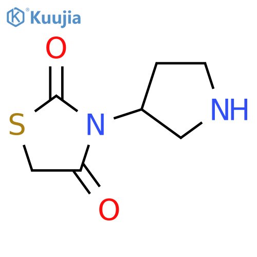 3-(pyrrolidin-3-yl)-1,3-thiazolidine-2,4-dione structure