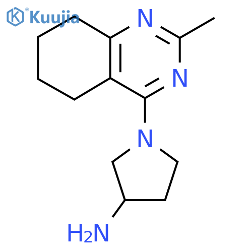 1-(2-Methyl-5,6,7,8-tetrahydroquinazolin-4-yl)pyrrolidin-3-amine structure