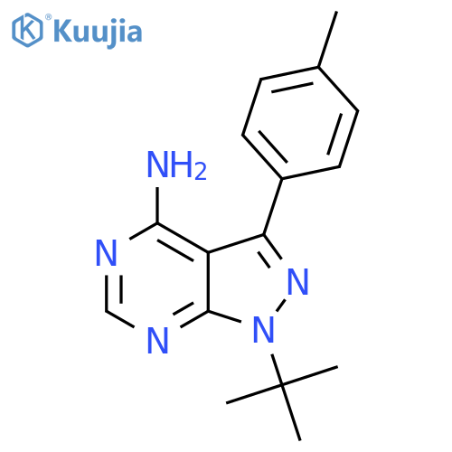PP1 structure