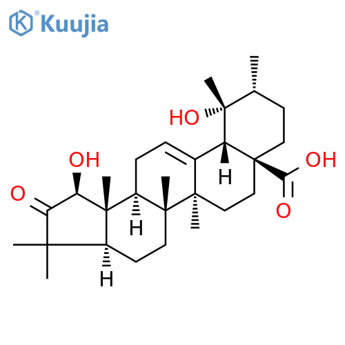 Rubuminatus B structure