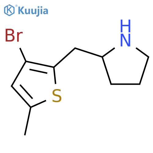 2-(3-bromo-5-methylthiophen-2-yl)methylpyrrolidine structure