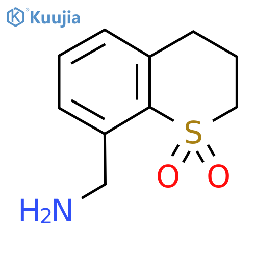 8-(aminomethyl)-3,4-dihydro-2H-1lambda6-benzothiopyran-1,1-dione structure