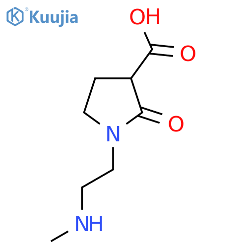 1-[2-(Methylamino)ethyl]-2-oxopyrrolidine-3-carboxylic acid structure