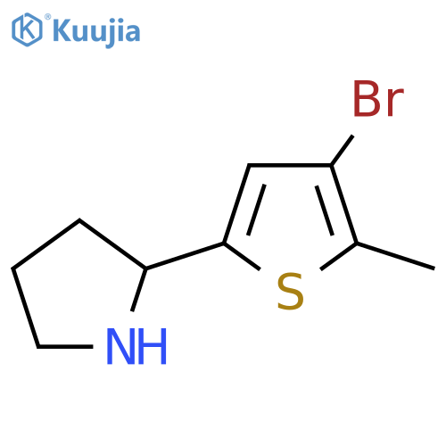 2-(4-bromo-5-methylthiophen-2-yl)pyrrolidine structure