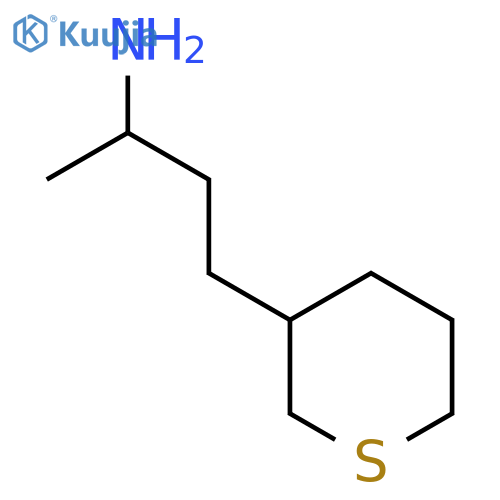 4-(thian-3-yl)butan-2-amine structure
