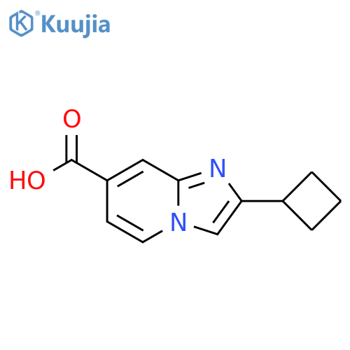 2-cyclobutylimidazo1,2-apyridine-7-carboxylic acid structure