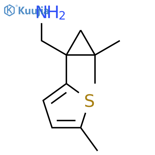 2,2-dimethyl-1-(5-methylthiophen-2-yl)cyclopropylmethanamine structure