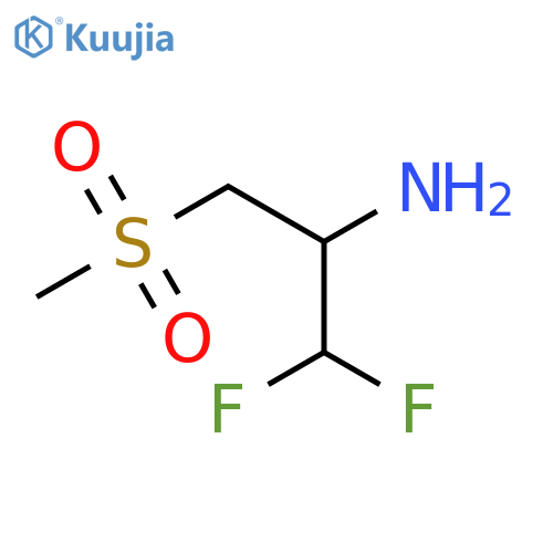 1,1-difluoro-3-methanesulfonylpropan-2-amine structure