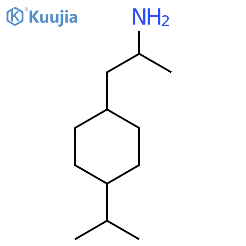 1-4-(propan-2-yl)cyclohexylpropan-2-amine structure