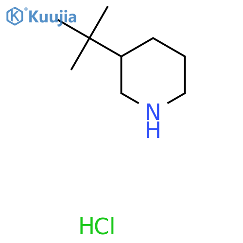 3-Tert-butylpiperidine hydrochloride structure