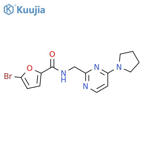 5-bromo-N-{[4-(pyrrolidin-1-yl)pyrimidin-2-yl]methyl}furan-2-carboxamide structure