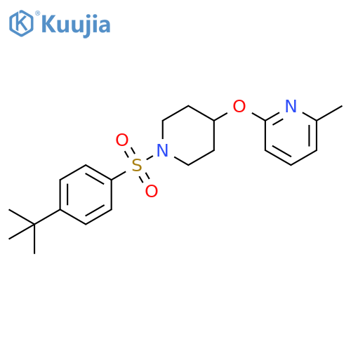 2-{[1-(4-tert-butylbenzenesulfonyl)piperidin-4-yl]oxy}-6-methylpyridine structure