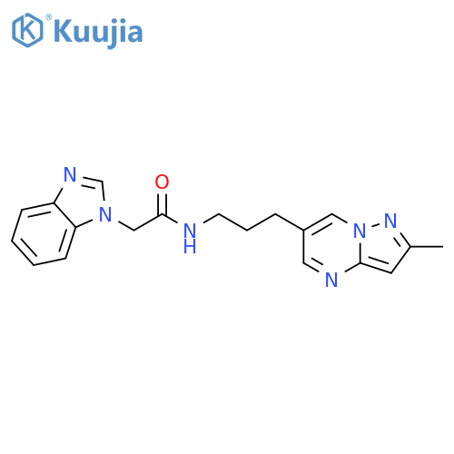 2-(benzimidazol-1-yl)-N-[3-(2-methylpyrazolo[1,5-a]pyrimidin-6-yl)propyl]acetamide structure