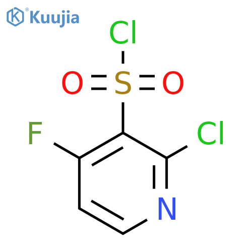 2-Chloro-4-fluoropyridine-3-sulfonyl chloride structure