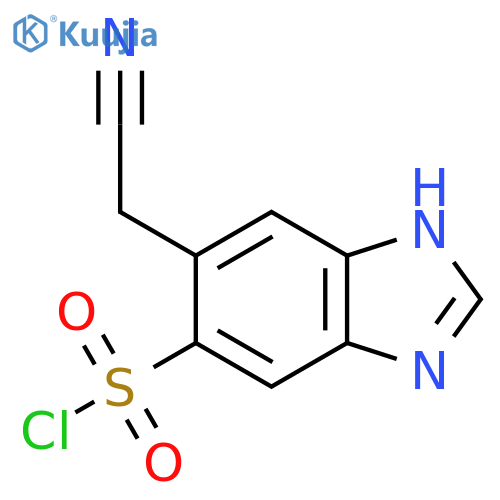 6-Cyanomethyl-1H-benzimidazole-5-sulfonyl chloride structure