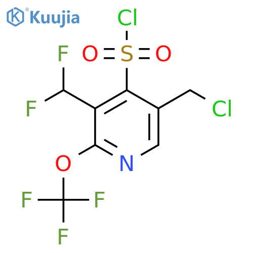 5-(Chloromethyl)-3-(difluoromethyl)-2-(trifluoromethoxy)pyridine-4-sulfonyl chloride structure