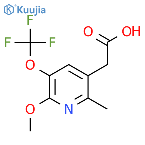 2-Methoxy-6-methyl-3-(trifluoromethoxy)pyridine-5-acetic acid structure