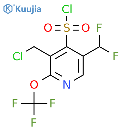 3-(Chloromethyl)-5-(difluoromethyl)-2-(trifluoromethoxy)pyridine-4-sulfonyl chloride structure