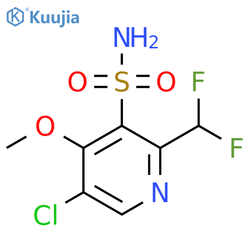 5-Chloro-2-(difluoromethyl)-4-methoxypyridine-3-sulfonamide structure