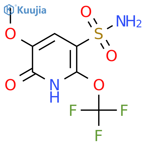 2-Hydroxy-3-methoxy-6-(trifluoromethoxy)pyridine-5-sulfonamide structure