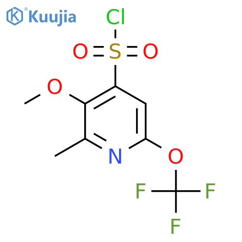 3-Methoxy-2-methyl-6-(trifluoromethoxy)pyridine-4-sulfonyl chloride structure
