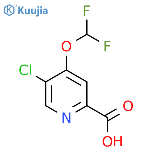 5-Chloro-4-(difluoromethoxy)pyridine-2-carboxylic acid structure