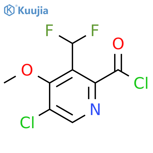 5-Chloro-3-(difluoromethyl)-4-methoxypyridine-2-carbonyl chloride structure