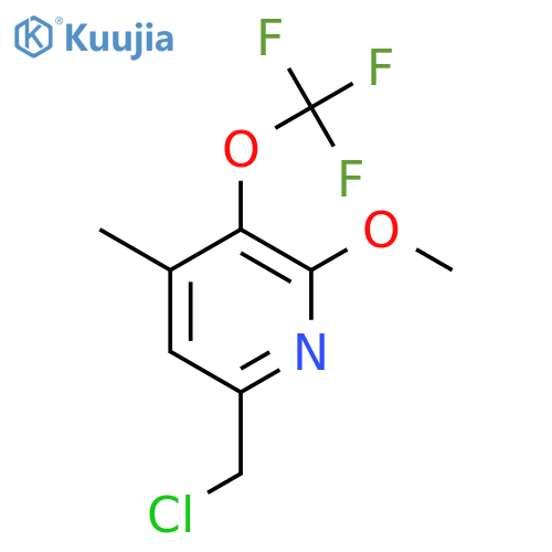 6-(Chloromethyl)-2-methoxy-4-methyl-3-(trifluoromethoxy)pyridine structure