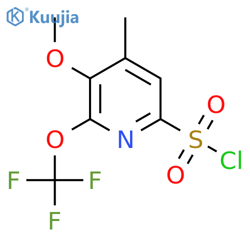 3-Methoxy-4-methyl-2-(trifluoromethoxy)pyridine-6-sulfonyl chloride structure