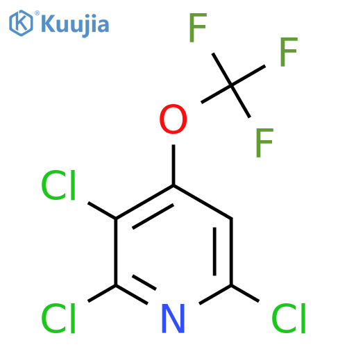 2,3,6-Trichloro-4-(trifluoromethoxy)pyridine structure