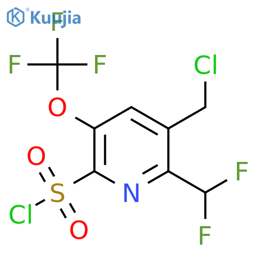 3-(Chloromethyl)-2-(difluoromethyl)-5-(trifluoromethoxy)pyridine-6-sulfonyl chloride structure