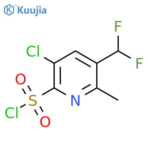3-Chloro-5-(difluoromethyl)-6-methylpyridine-2-sulfonyl chloride structure
